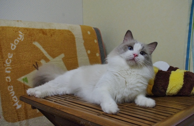 IMGP5211.jpg