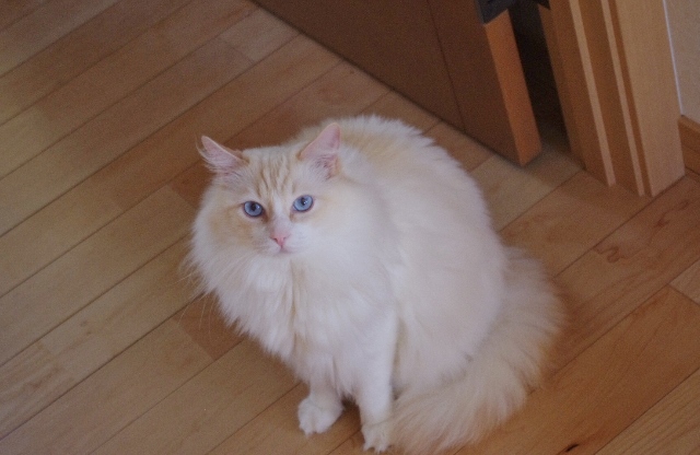 IMGP6680.jpg