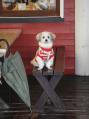 DSC00854.jpg