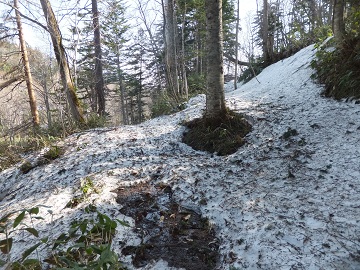 DSCF0054.jpg
