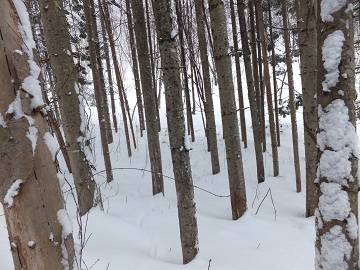 DSCF5612.jpg