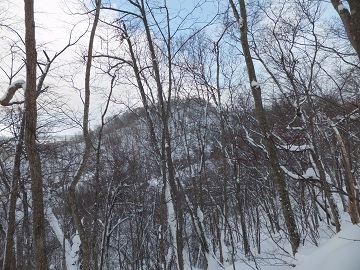 DSCF5630.jpg
