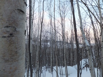 DSCF5673.jpg