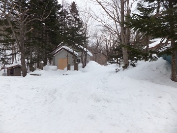 DSCF7737.jpg