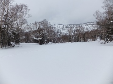 DSCF7830.jpg