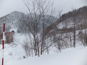 DSCF7874.jpg