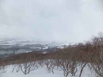 DSCF8003.jpg