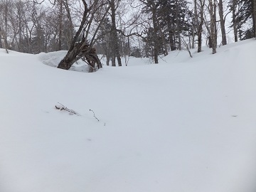 DSCF8567.jpg