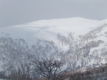 DSCF8718.jpg