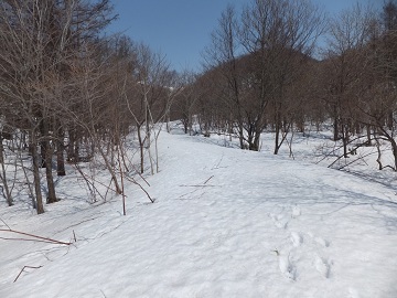 DSCF8928.jpg