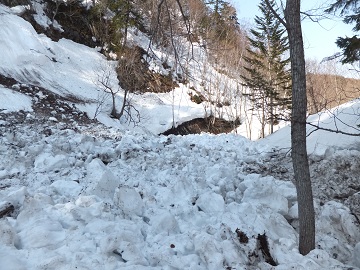 DSCF9563.jpg