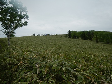 DSCN0192.jpg