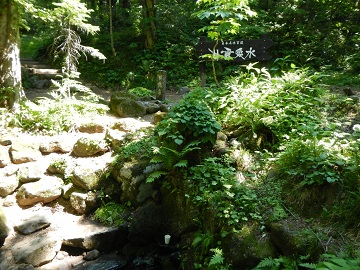 DSCN0688.jpg