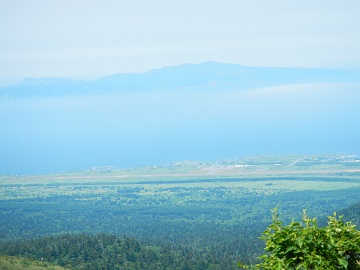 DSCN0702.jpg