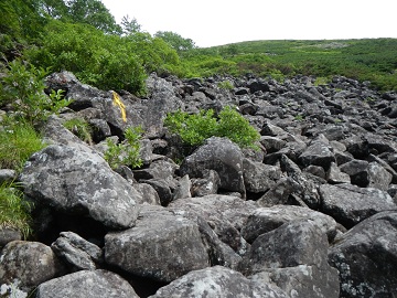 DSCN3659.jpg
