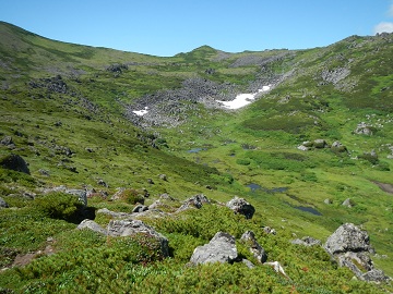 DSCN3729.jpg