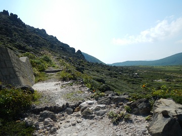 DSCN5067.jpg