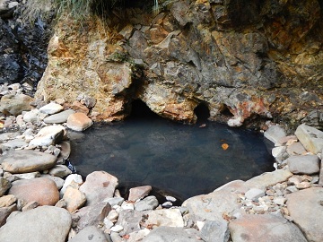 DSCN6036.jpg