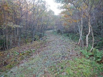 DSCN6750.jpg