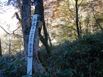DSCN6774.jpg