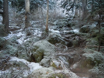 DSCN7064.jpg