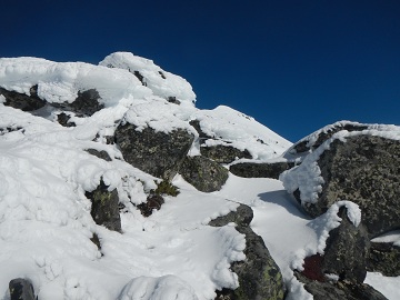 DSCN7207.jpg