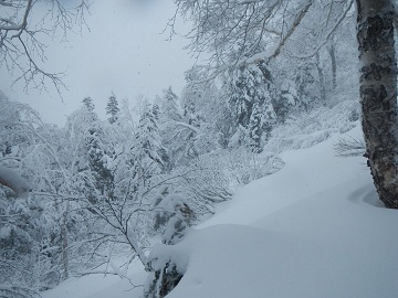 DSCN7268.jpg