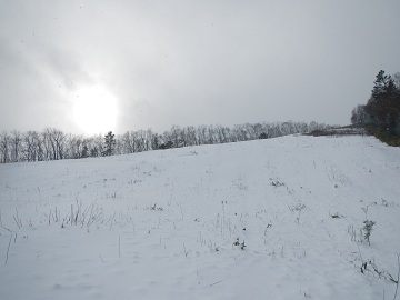 DSCN7336.jpg
