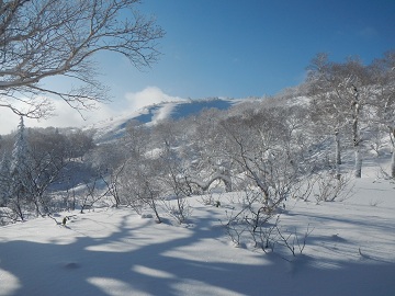 DSCN7582.jpg
