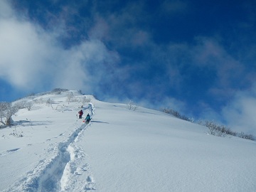 DSCN7663.jpg