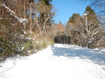 DSCN7945.jpg