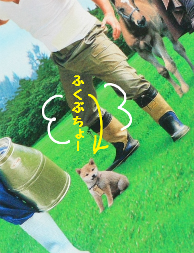 ふくぶちょー