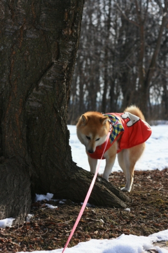 緑ヶ丘公園