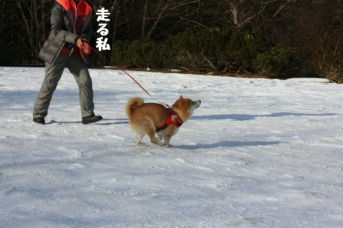 走る私