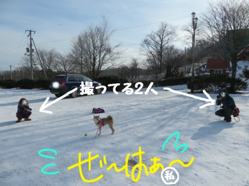 走らないふたり