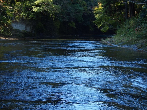 3_20121117021438.jpg