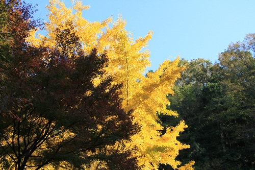 4_20121117021443.jpg