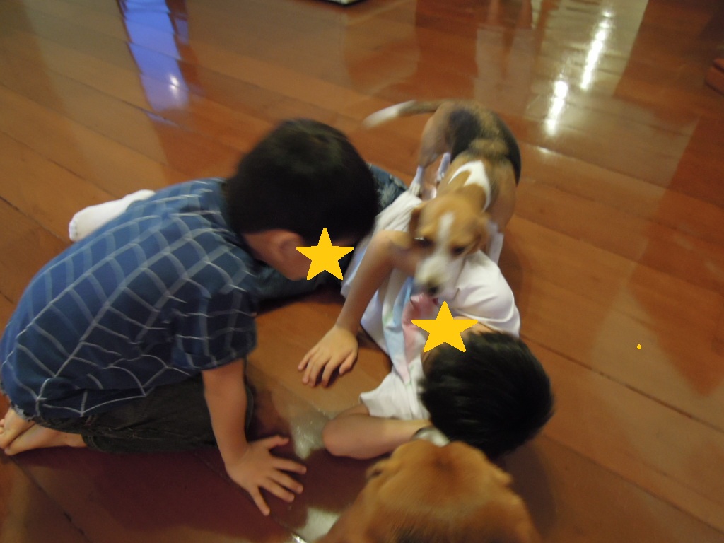 DSCN8070 - コピー