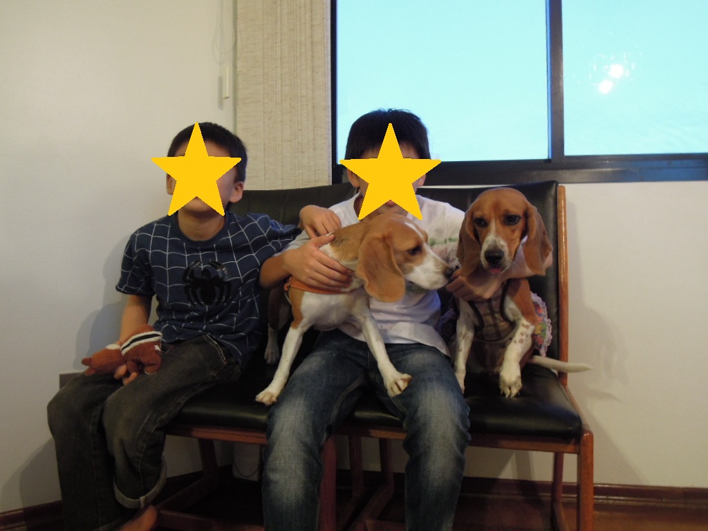 DSCN8066 - コピー