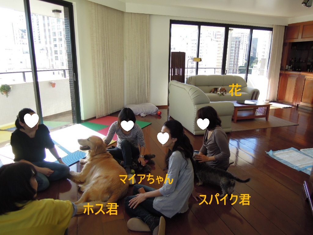 DSCN8391 - コピー