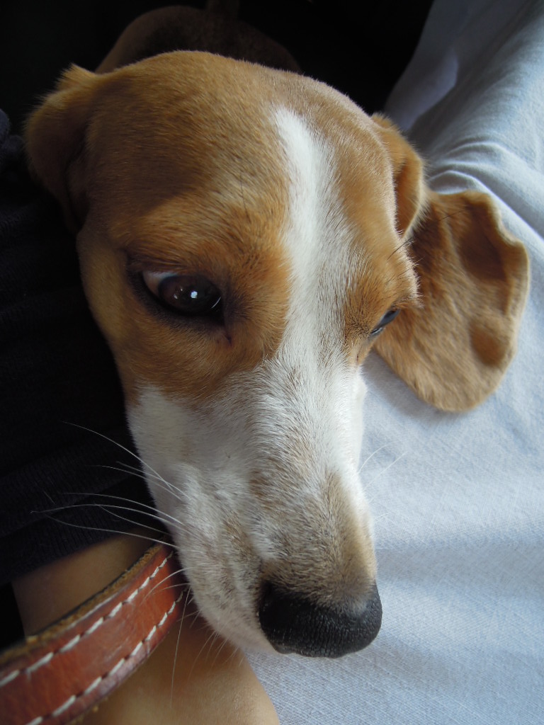 DSCN0193.jpg