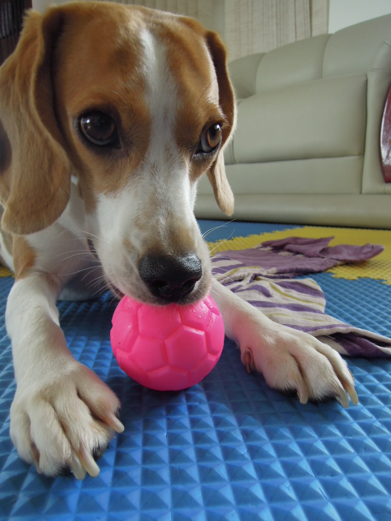 DSCN0223.jpg