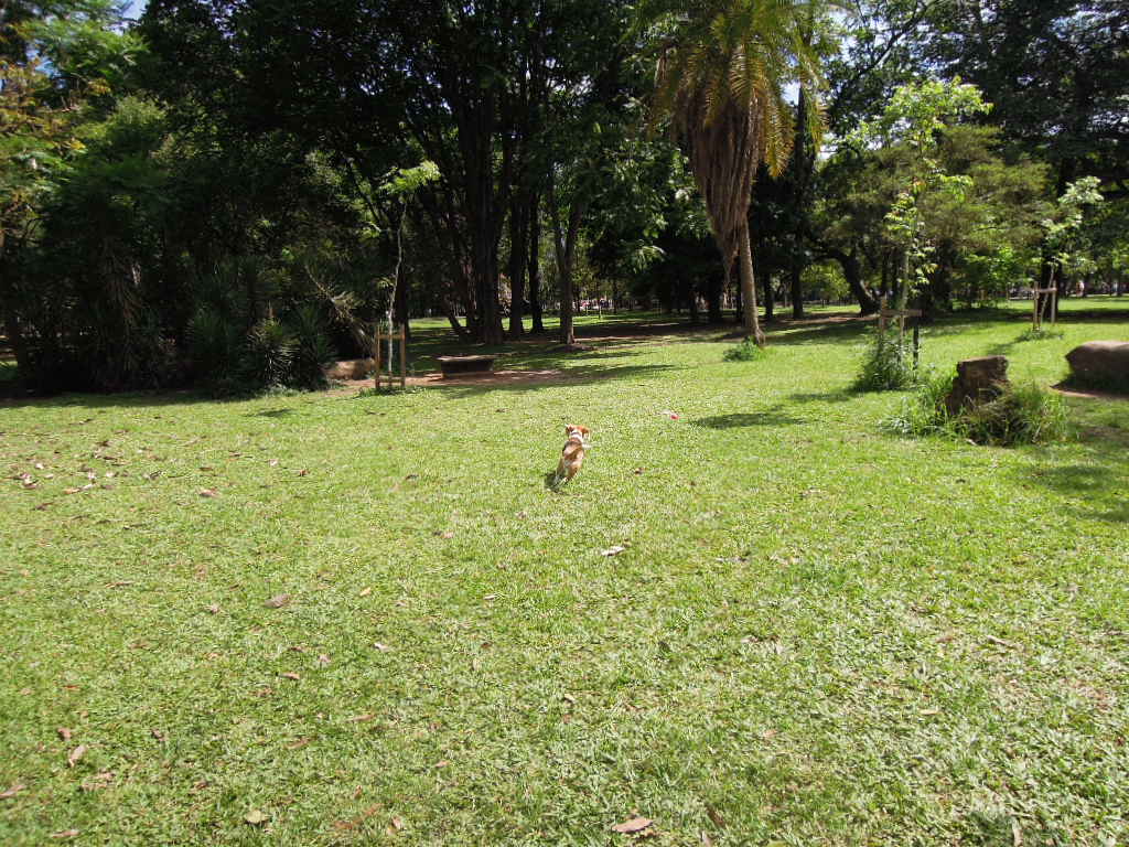 DSCN0264.jpg