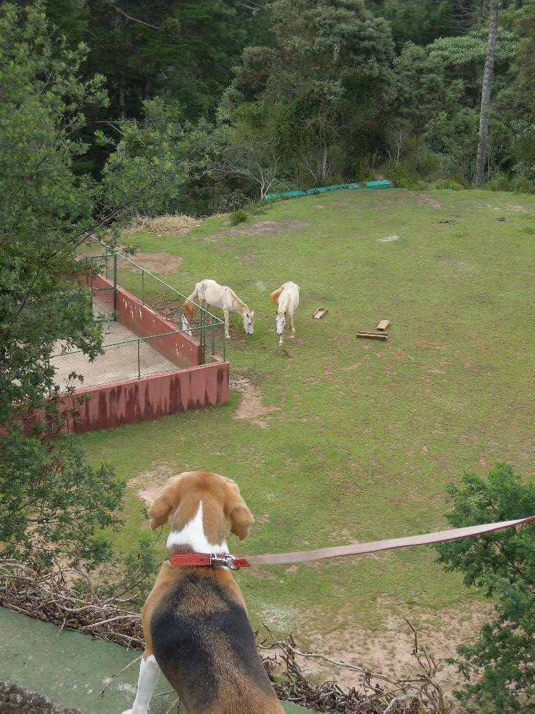 DSCN0332.jpg