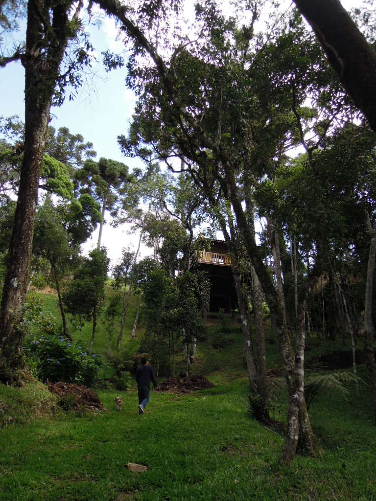 DSCN0353.jpg