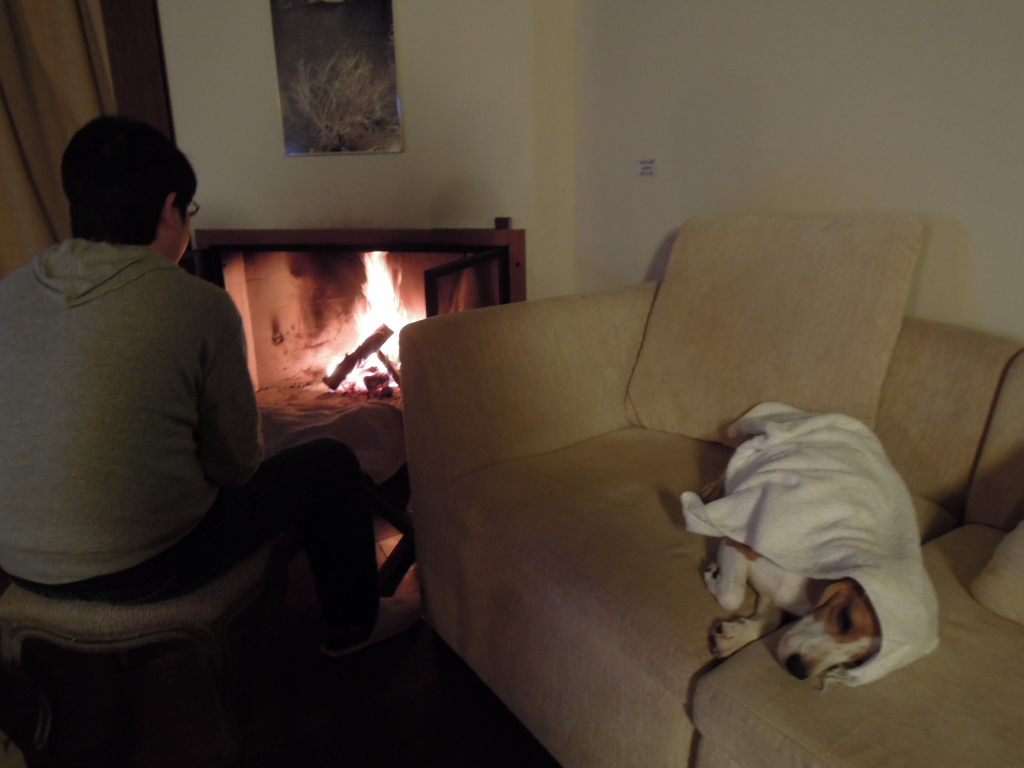 DSCN0376.jpg