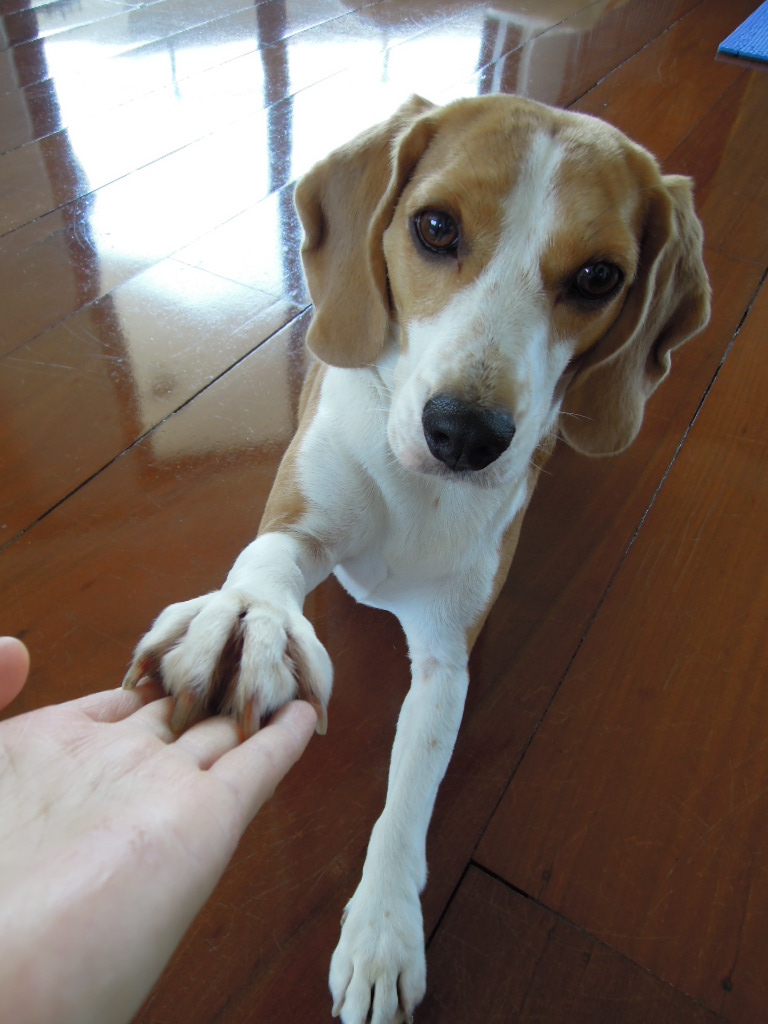 DSCN0397.jpg
