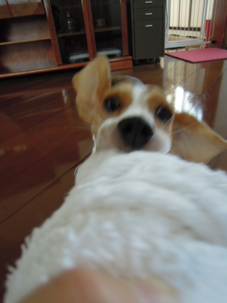 DSCN0583.jpg