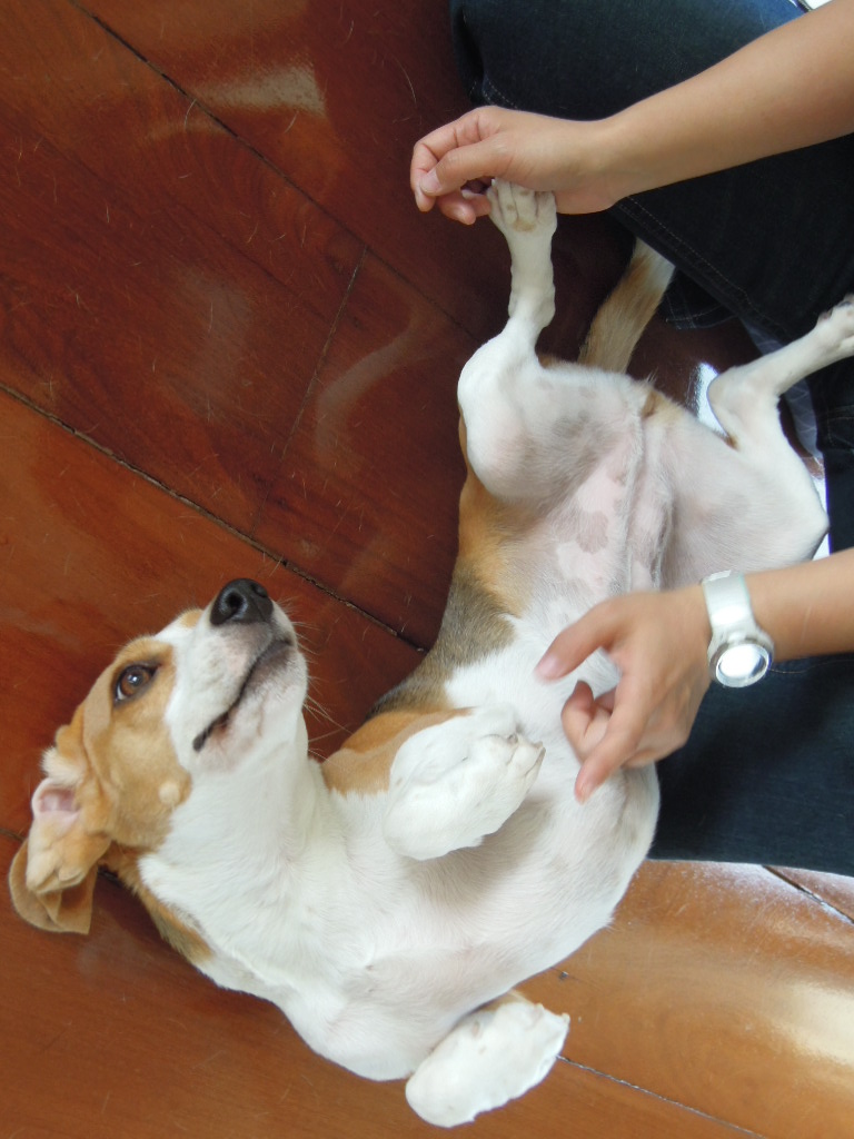 DSCN0626.jpg