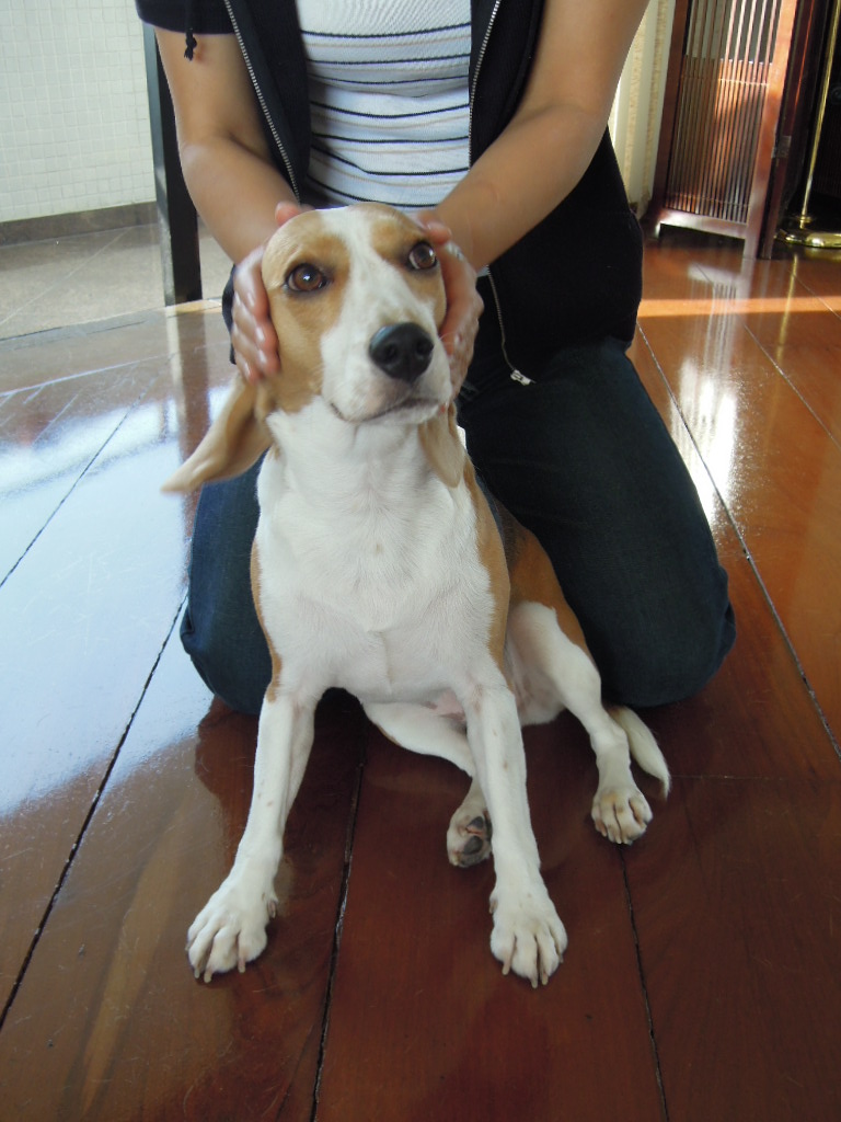 DSCN0632.jpg
